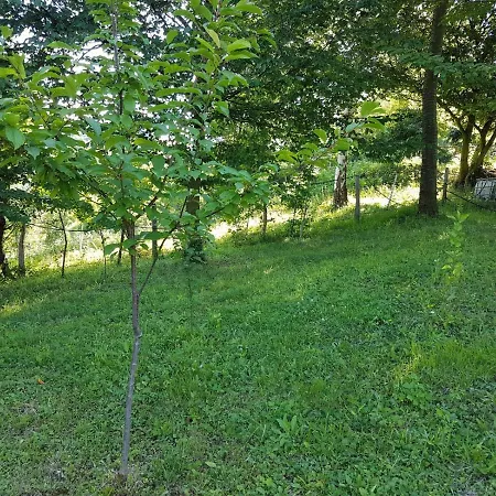 Ilidza Nature *